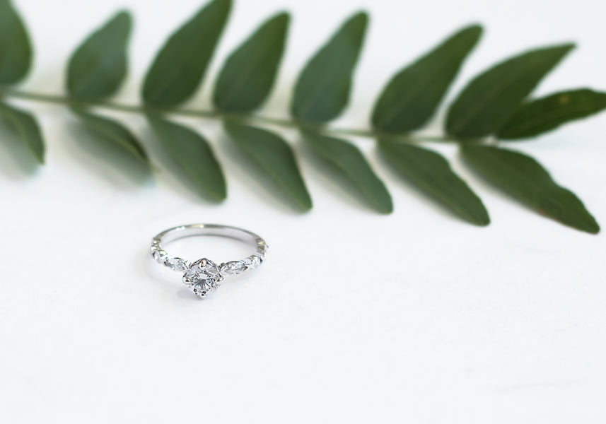 Alexandra & Blake's Engagement Ring